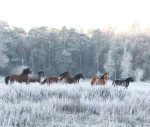 Warmlopen en keten